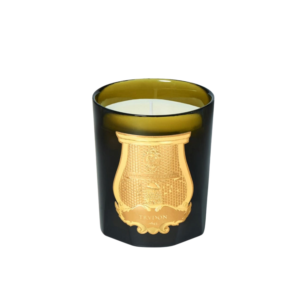 Trudon Gabriel (Gourmand Chimney fire )
