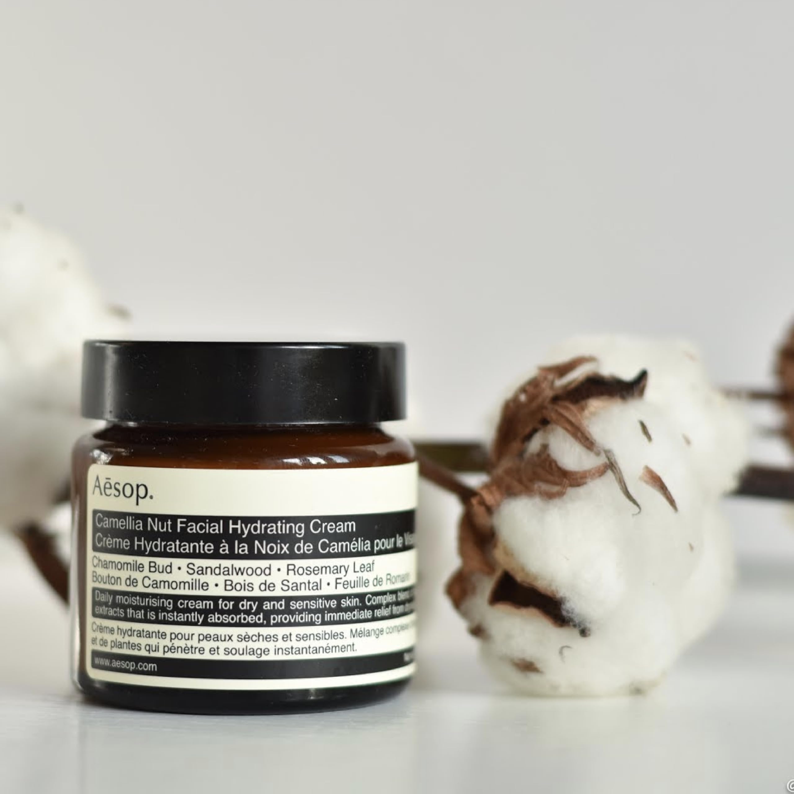 Camellia Nut Facial Hydrating Cream