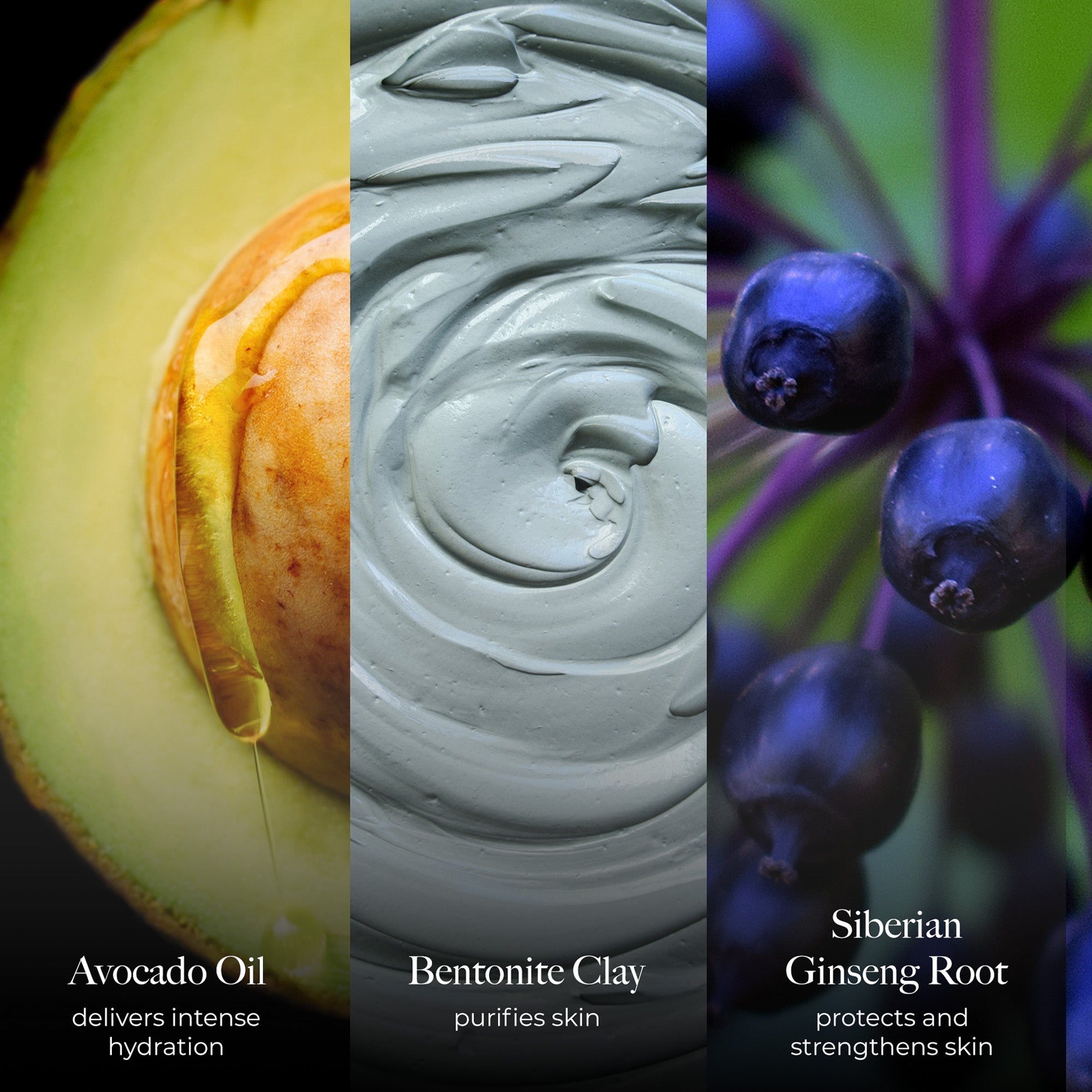 Advanced Fango Active Mud Mask Ingredients Image