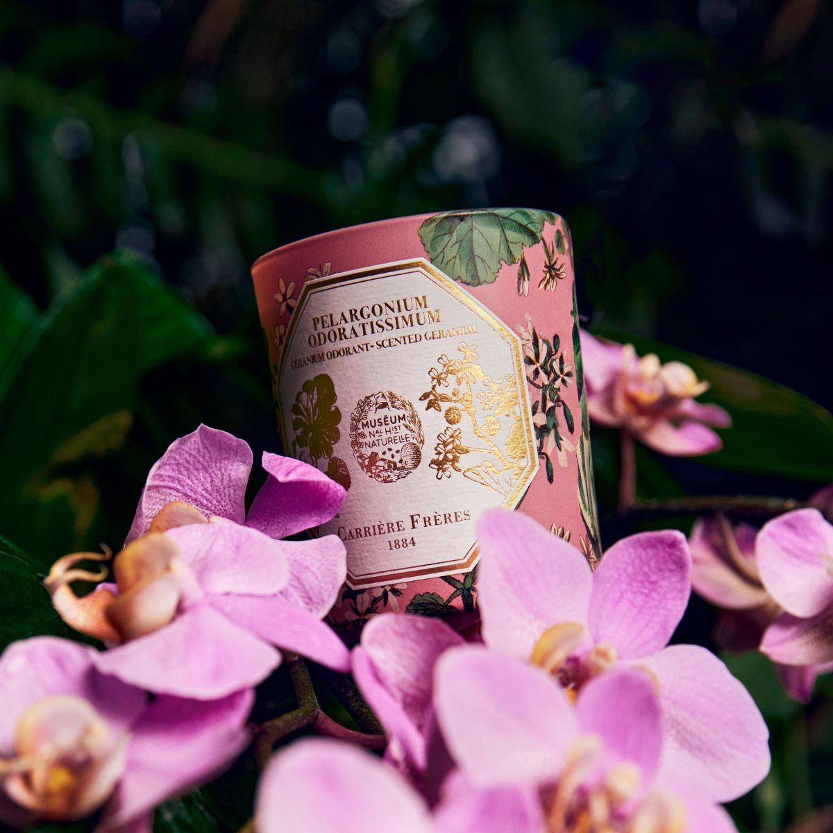 Carriere Freres Geranium Candle Lifestyle