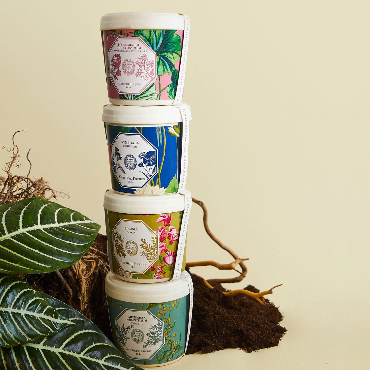 Carriere Freres Refill for Acacia Candle Lifestyle
