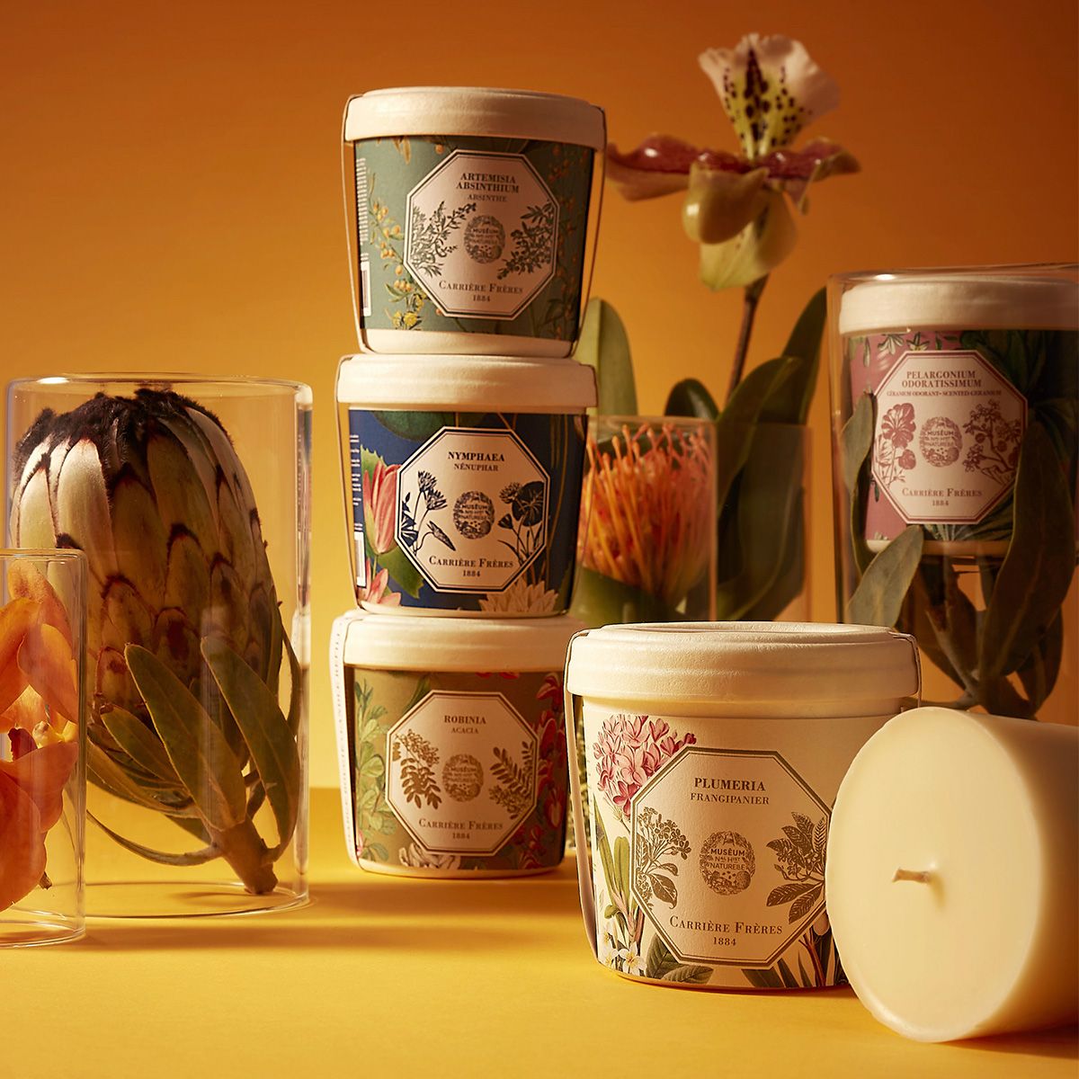 Carriere Freres Refill for Geranium Candle Refills