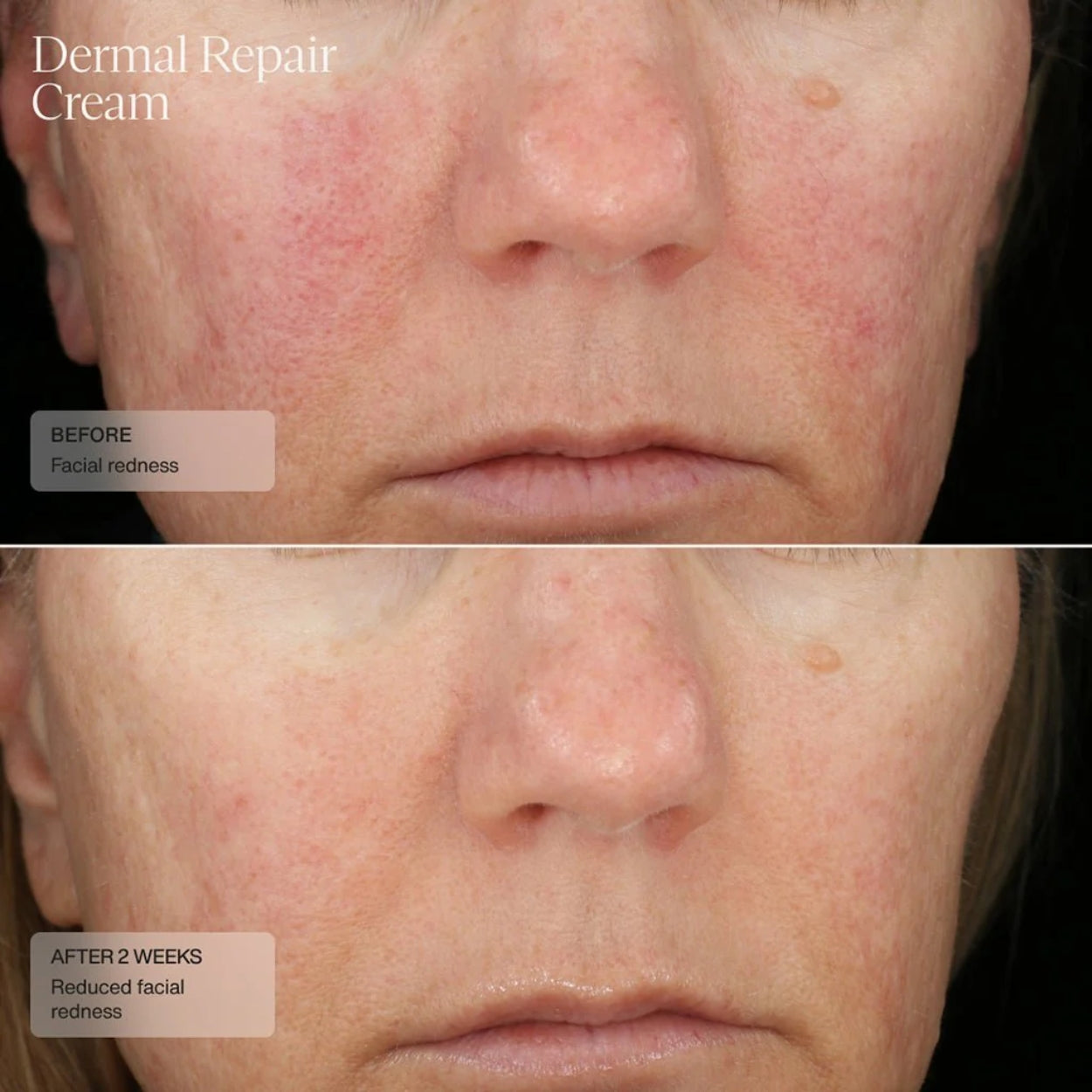 Dermal Repair Cream (CAD) Model Image  1