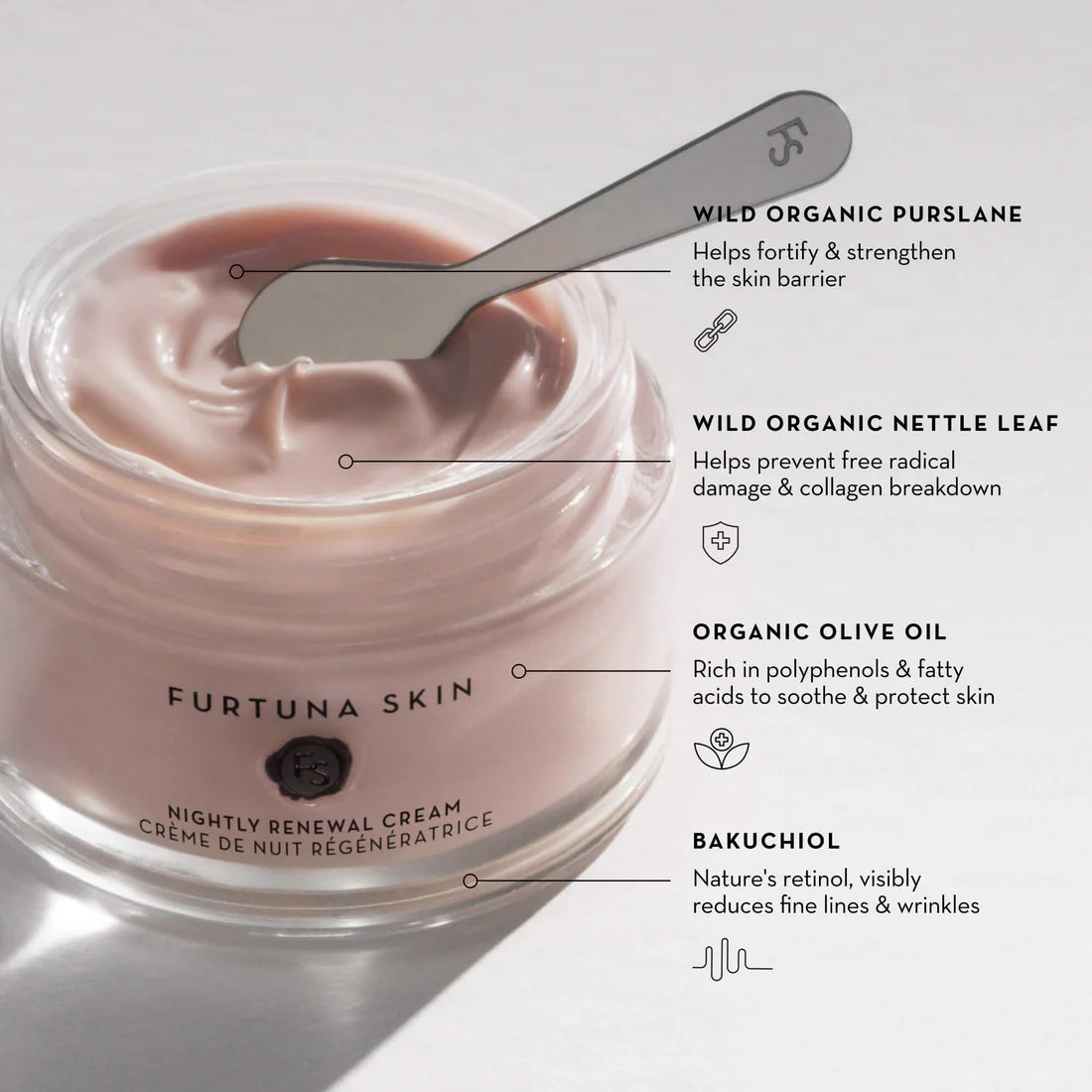 Fior di Luna Nightly Renewal Cream