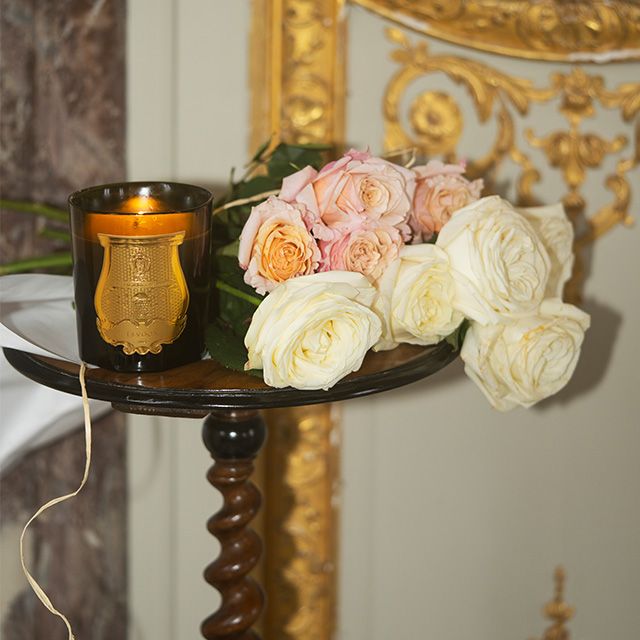 Trudon Joséphine (Floral Garden)