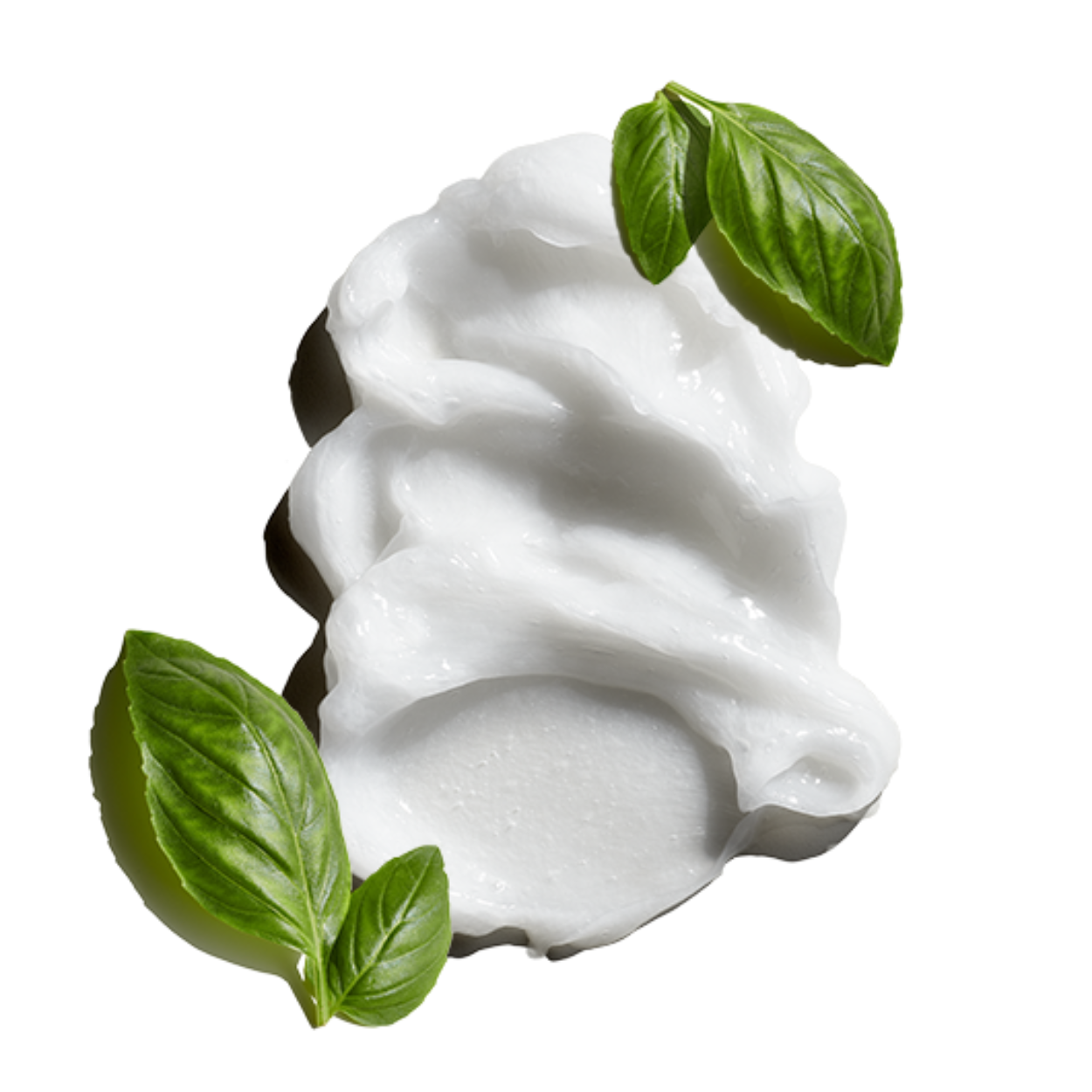 Nourishing Hair and Scalp Conditioner image 1