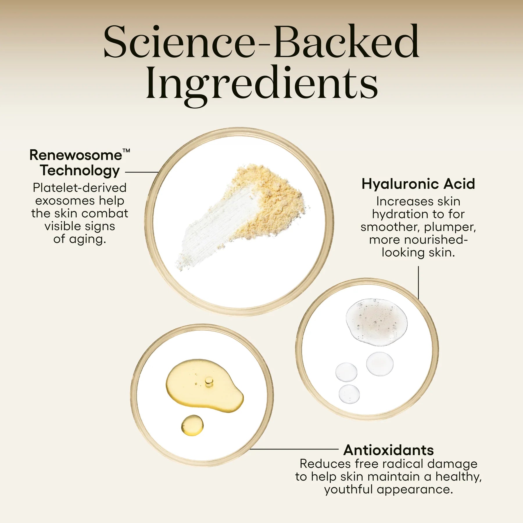 Plated Skin Science Intense Serum Refil