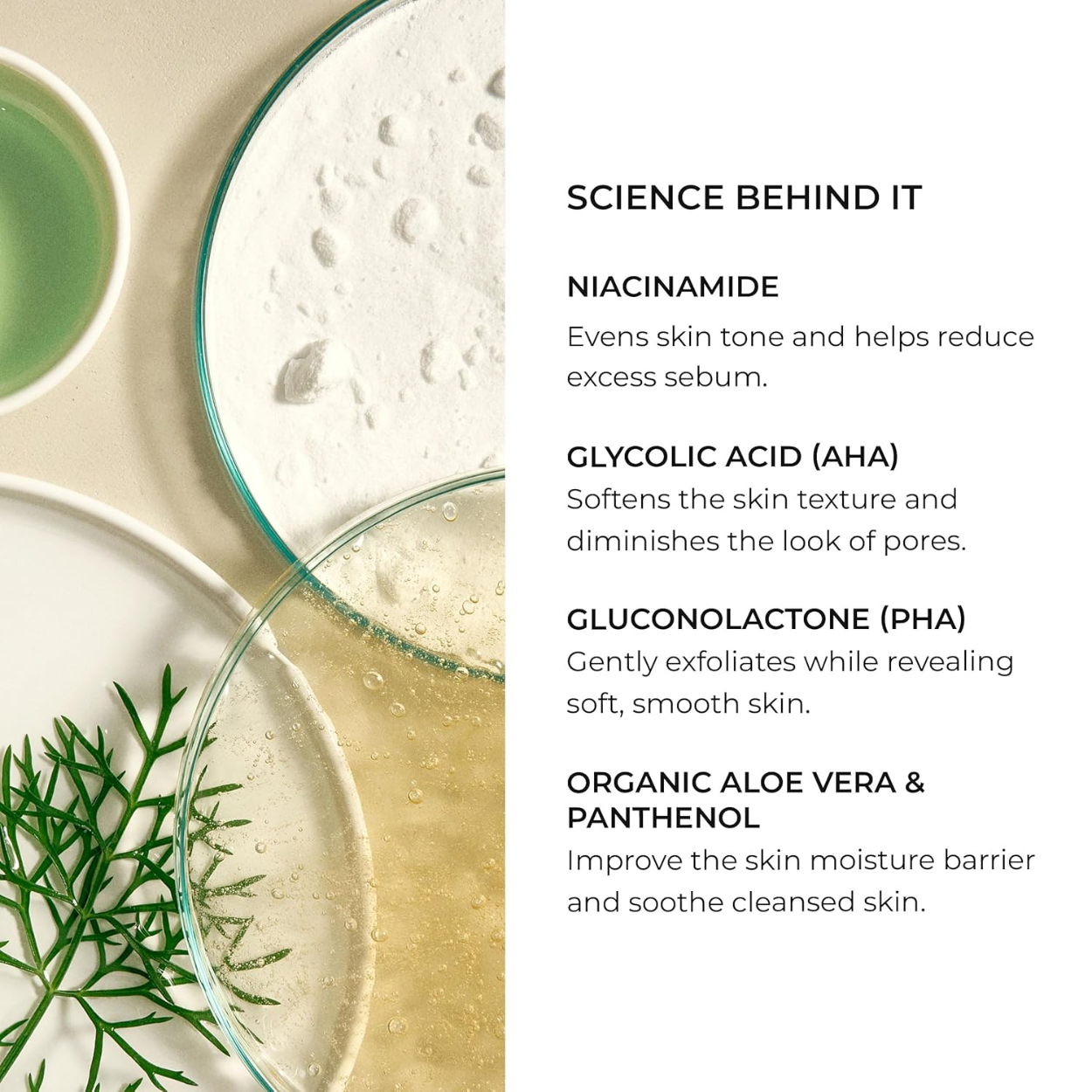 Stabilizing Facial Cleansing Gel With AHA + PHA Ingredients Image 