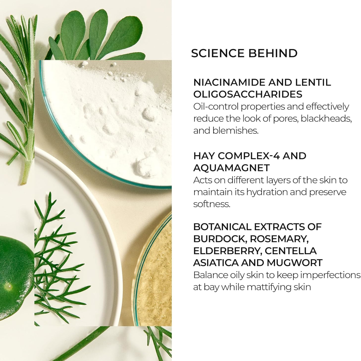 Stabilizing Oil Free Gel Cream Ingredients Image